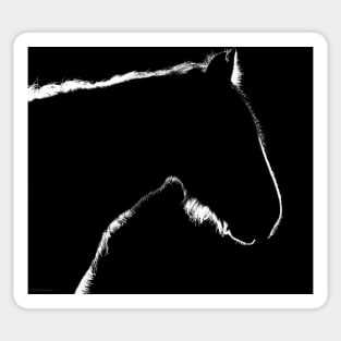 Horse silhouette Sticker